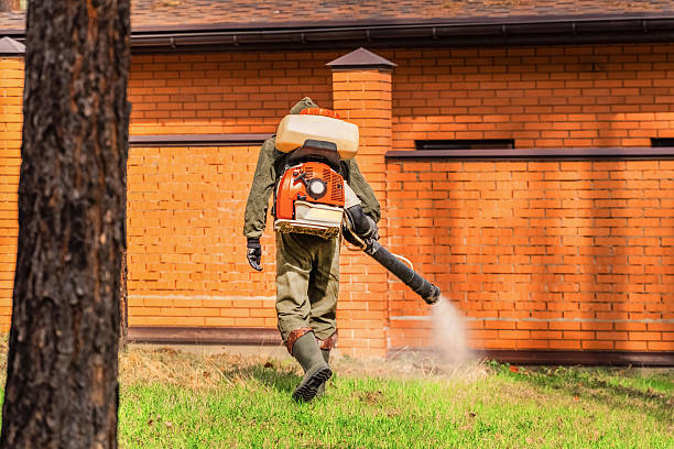 Bed Bug Clearance Verification and Documentation in Sun Lakes